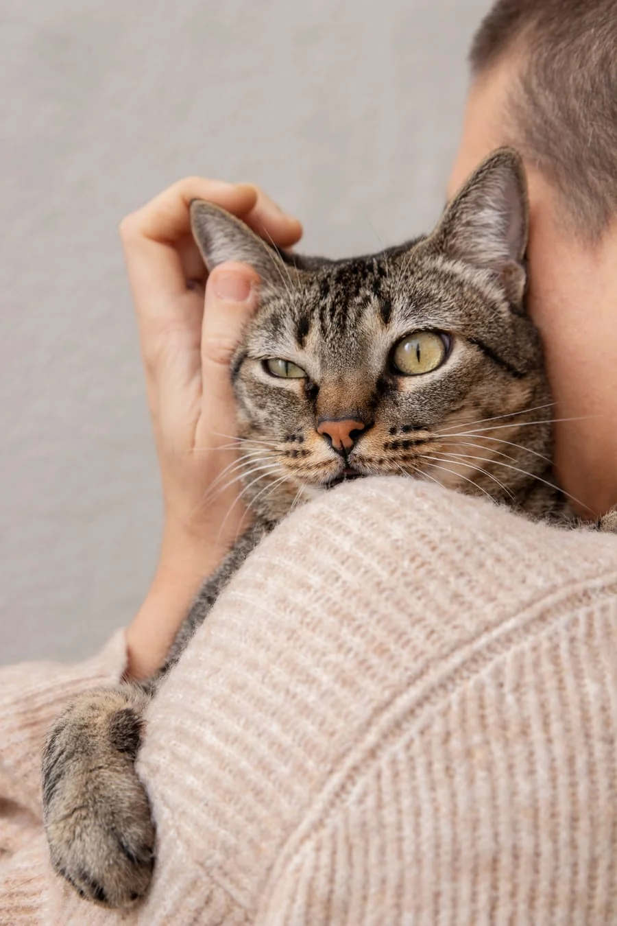 Persona abraza a su gato apoyado en el hombro, acompañando el duelo por una mascota