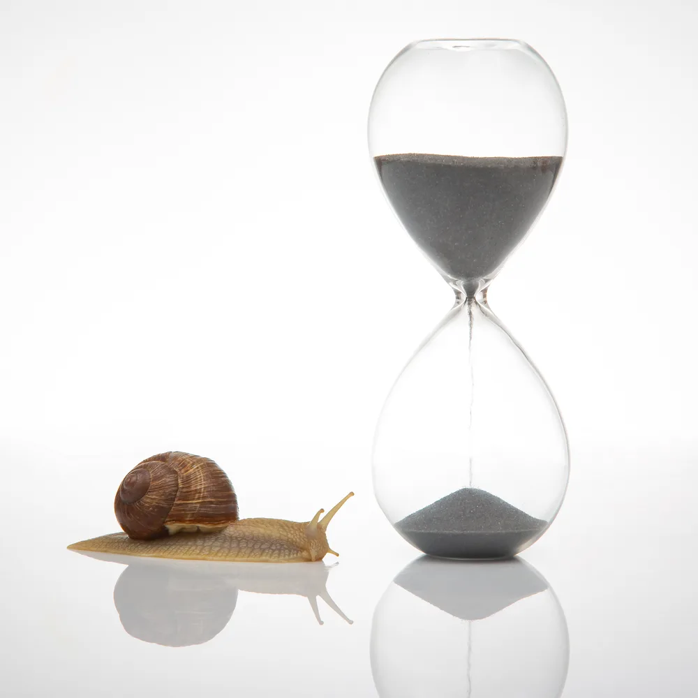 Caracol junto a un reloj de arena, metáfora de avanzar con calma en la familia ensamblada