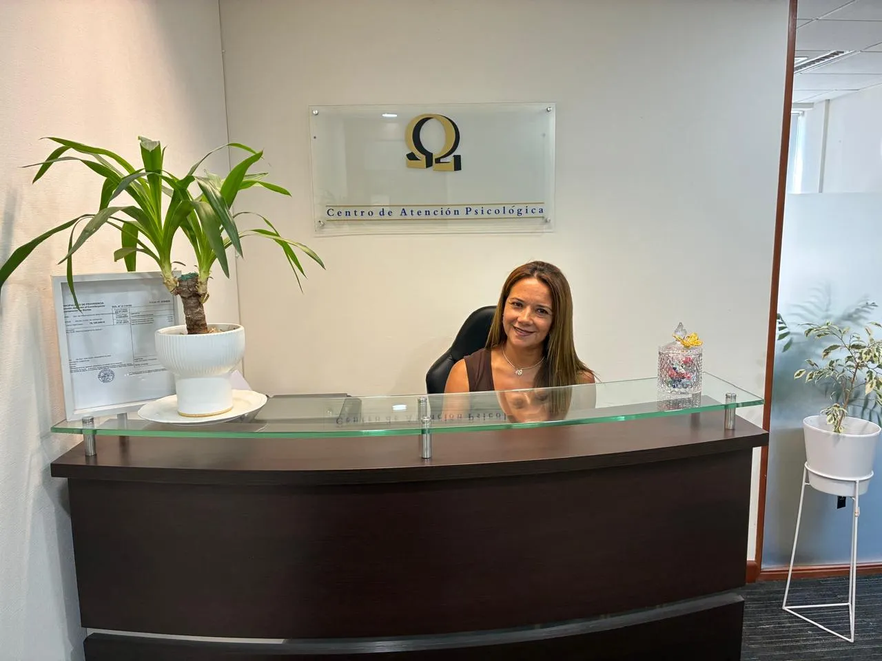 Recepción de Centro Psiquis en Providencia, Santiago